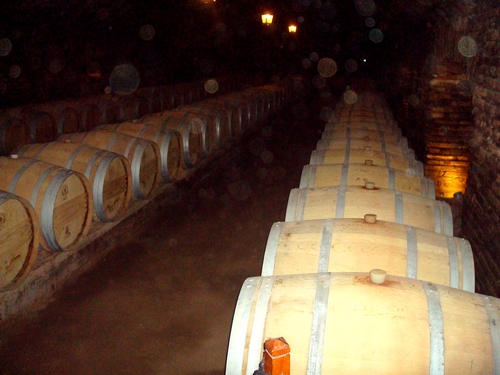 Fbrica da Concha y Toro, um dos maiores fabricantes de vinhos do planeta - FOTO/CRDITO: Fernando Toscano, www.portalbrasil.net