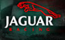 Jaguar (www.portalbrasil.eti.br)
